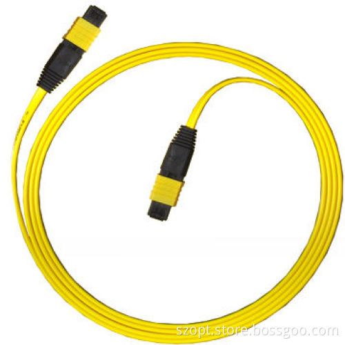 MPO Patch Cord with High Reliability, Cost-effective